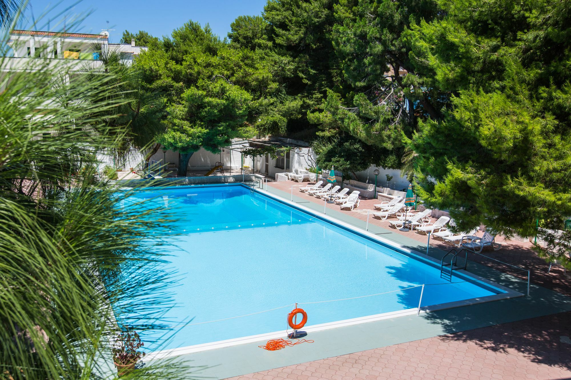 Hotel Mediterraneo Vieste Eksteriør bilde